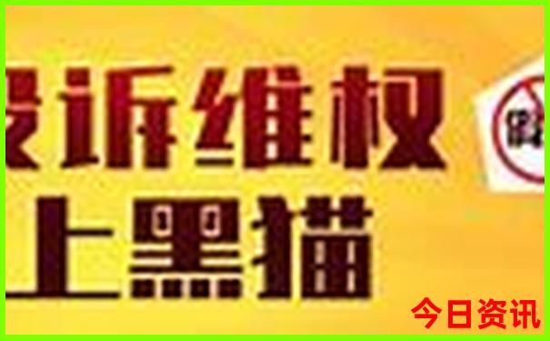 荷兰旅游必去十大景点